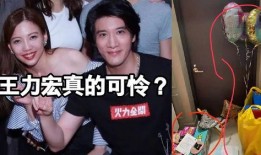 爆料王力宏李靓蕾视频,婚姻疑云再起，真相究竟如何？