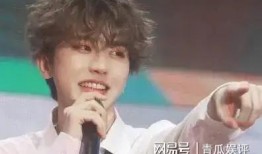 蔡徐坤新闻爆料,揭秘背后真相与争议